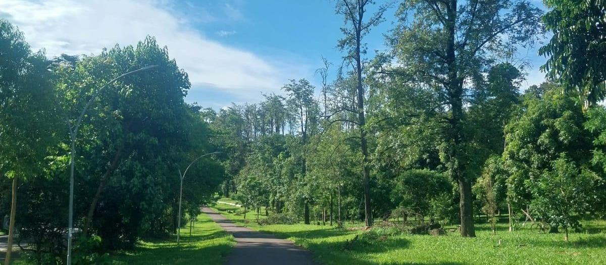 Confira a previsão do tempo para este domingo (18)