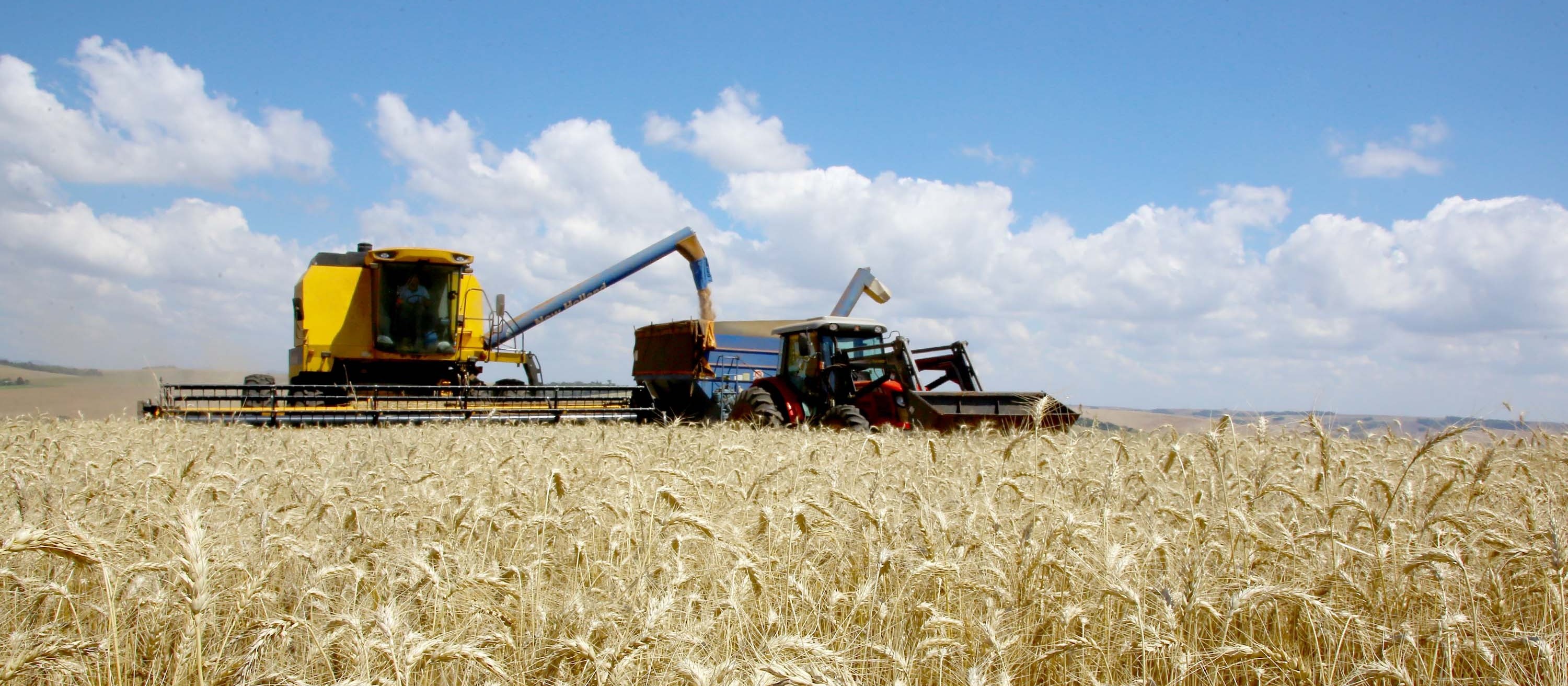 Agronegócio pode ter segurança em um mercado incerto