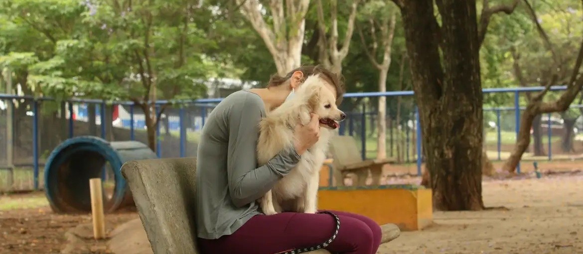 Pets também sofrem com doenças crônicas e degenerativas