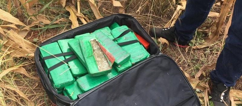 Após denúncia, Denarc apreende 29 kg de maconha em matagal em Maringá