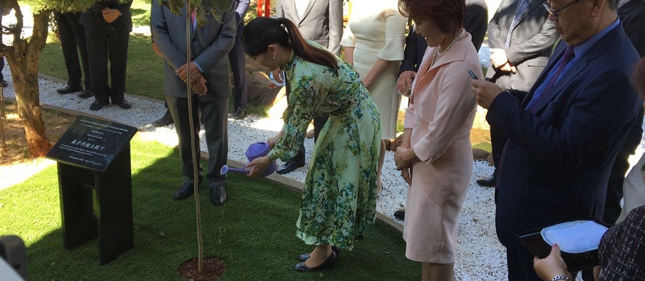  Princesa Mako regou ipê branco e agradeceu o povo brasileiro