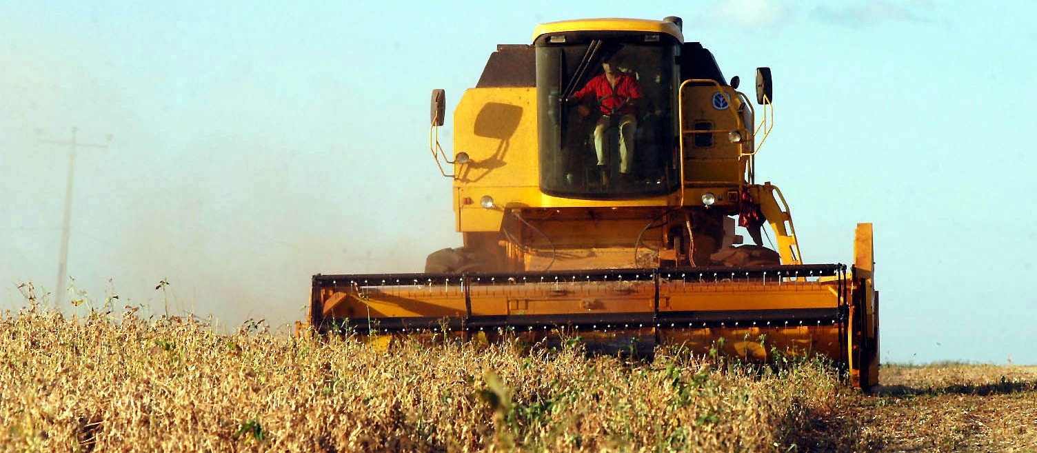 Colheita da soja segue com boa produtividade