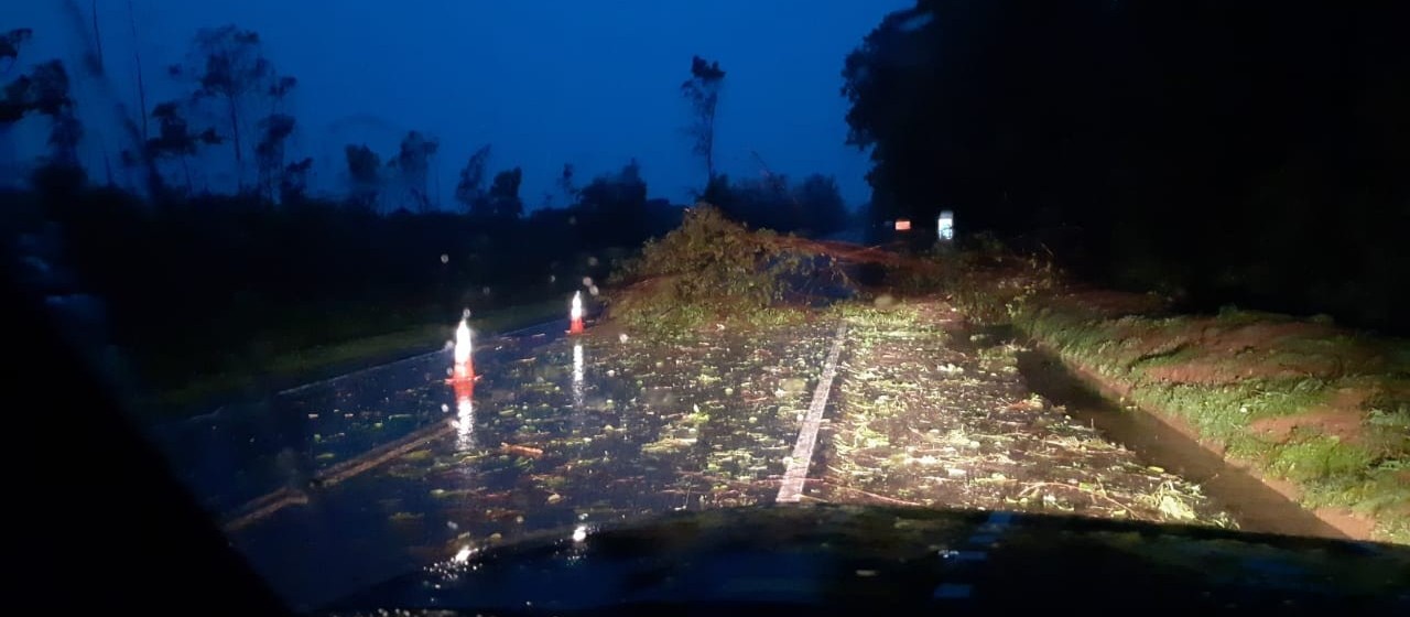 Chuva forte derruba árvores na BR-376 em Paranavaí