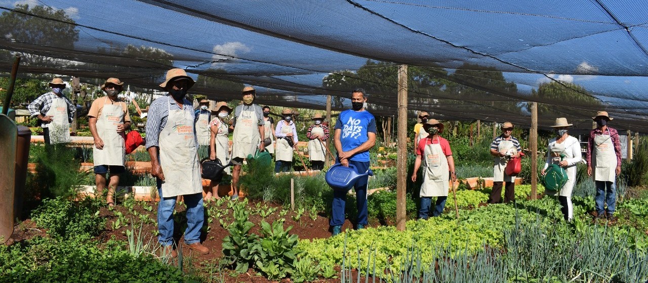 Cultivar Energia evita ocupação irregular debaixo de linhas de distribuição