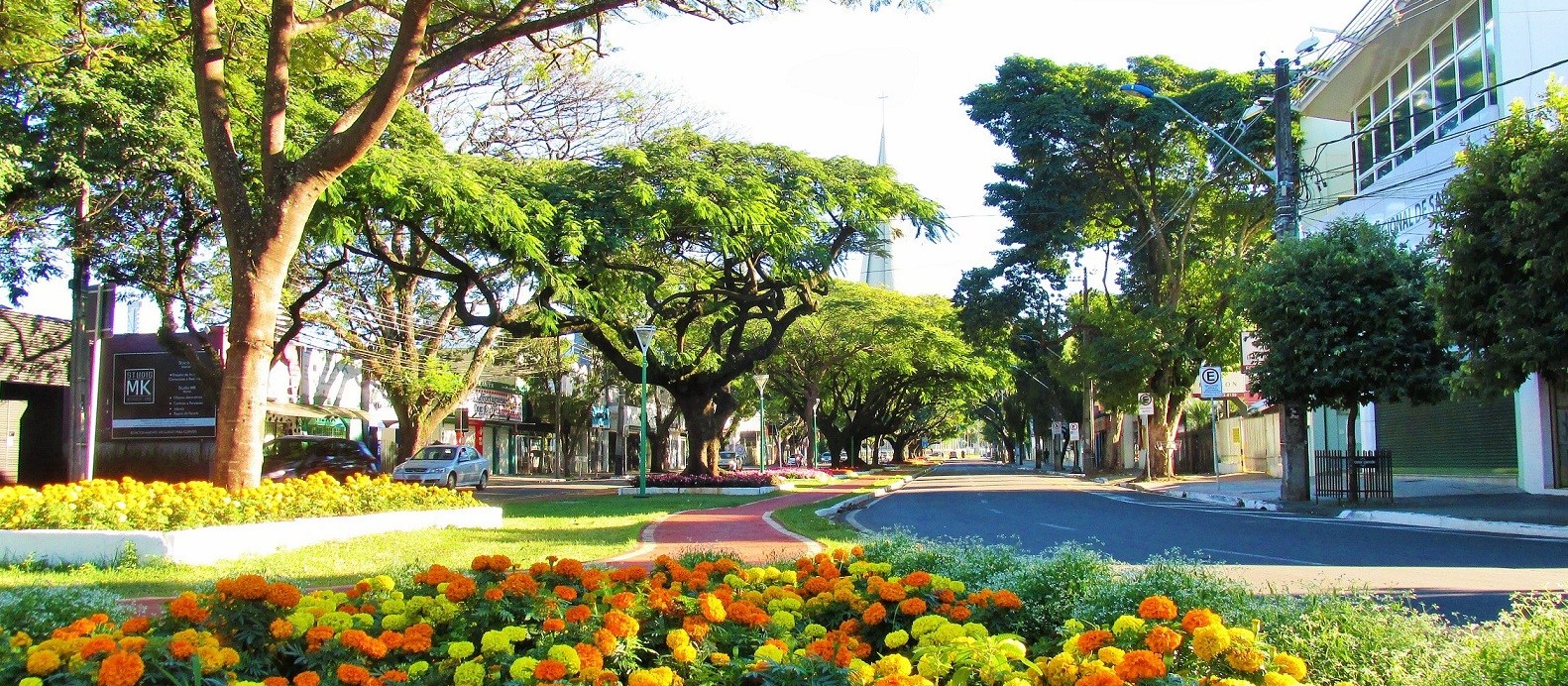 Sexta-feira (14) terá máxima de 29º C em Maringá; calor segue no fim de semana