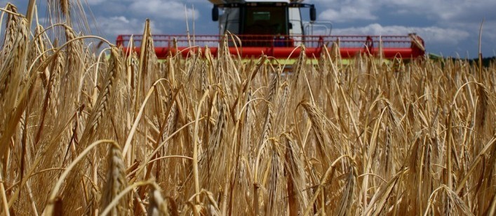 Agronegócio cresce em relação ao PIB 