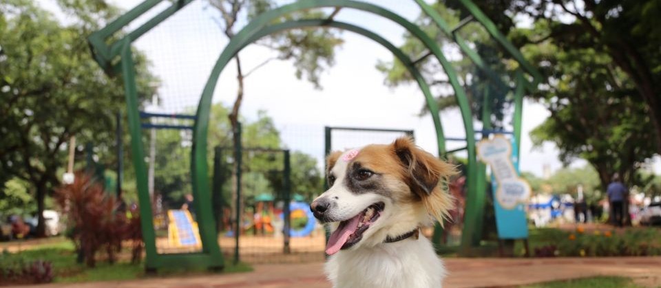 Maringá ganha novo ParCão neste sábado (1º)