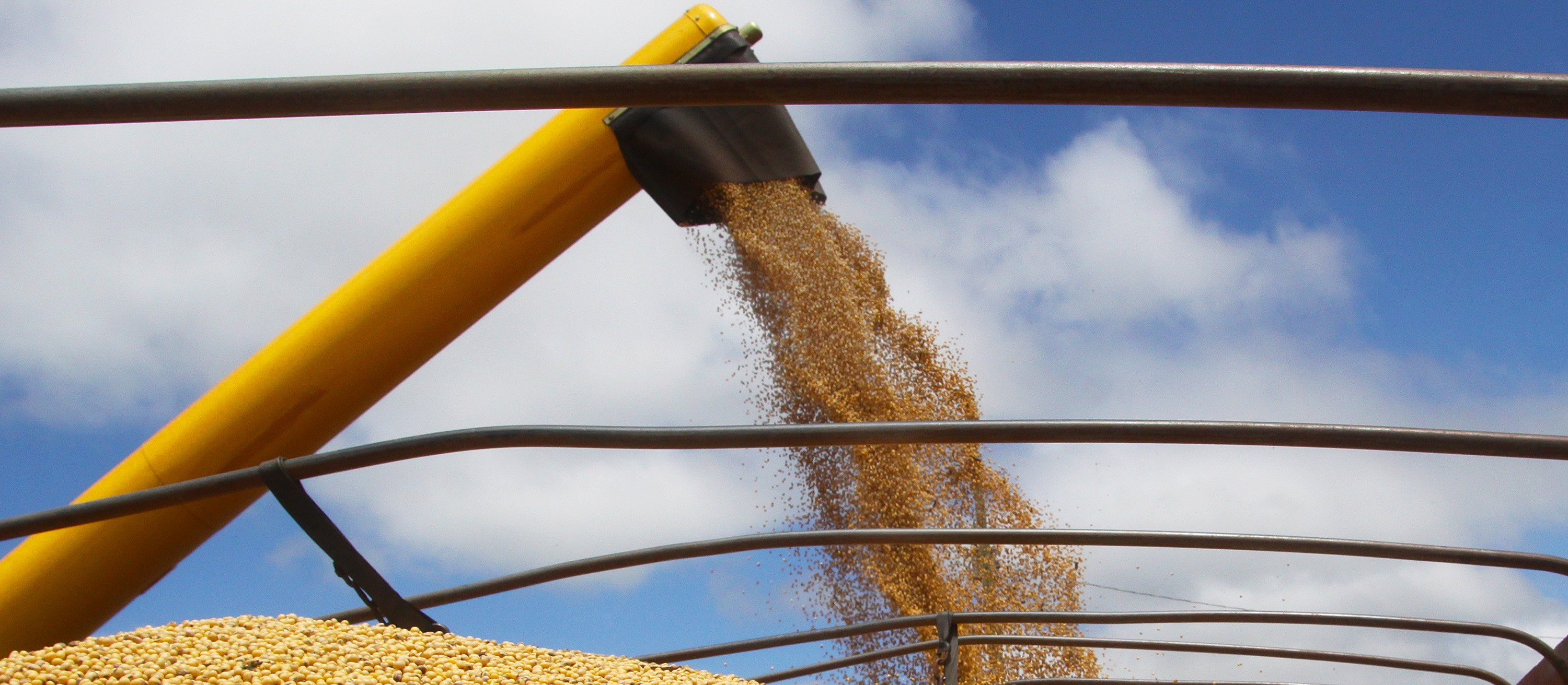 Preços agrícolas seguem em alta no Paraná