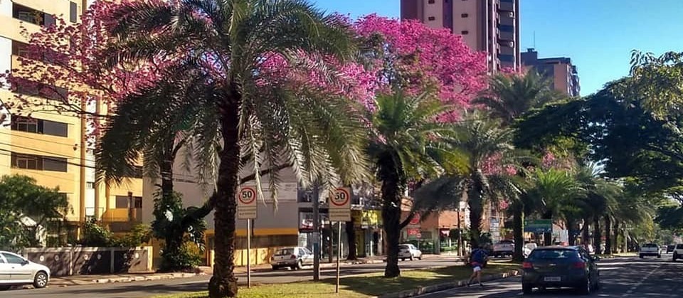 Domingo de carnaval será de sol e nuvens em Maringá