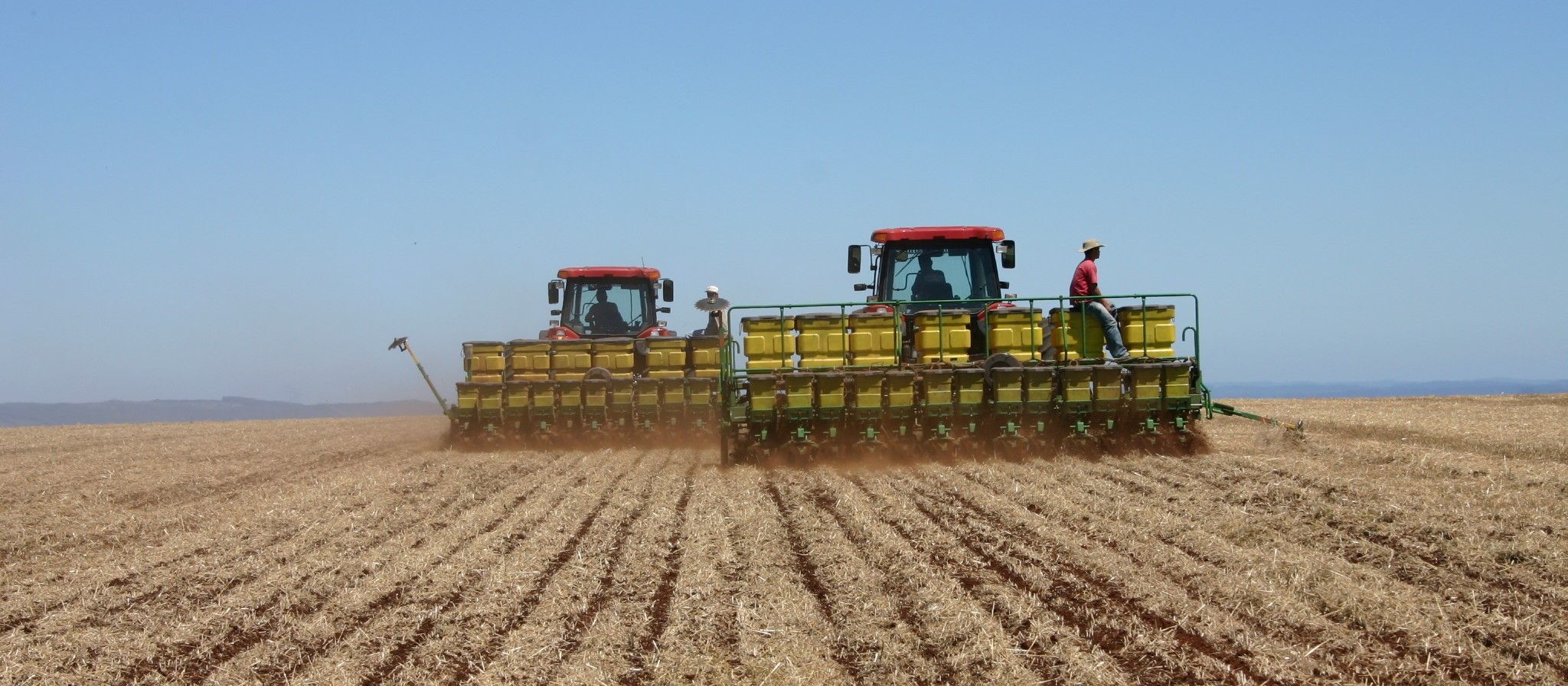 Produção de cereais em 2019 deve chegar a 228,8 milhões de toneladas