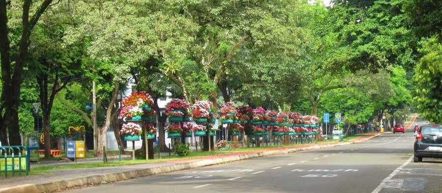 Maringá tem abril mais seco da história, diz Simepar