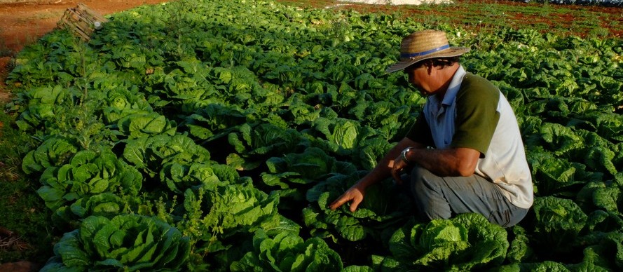 15,8% dos produtores rurais estavam inadimplentes em março