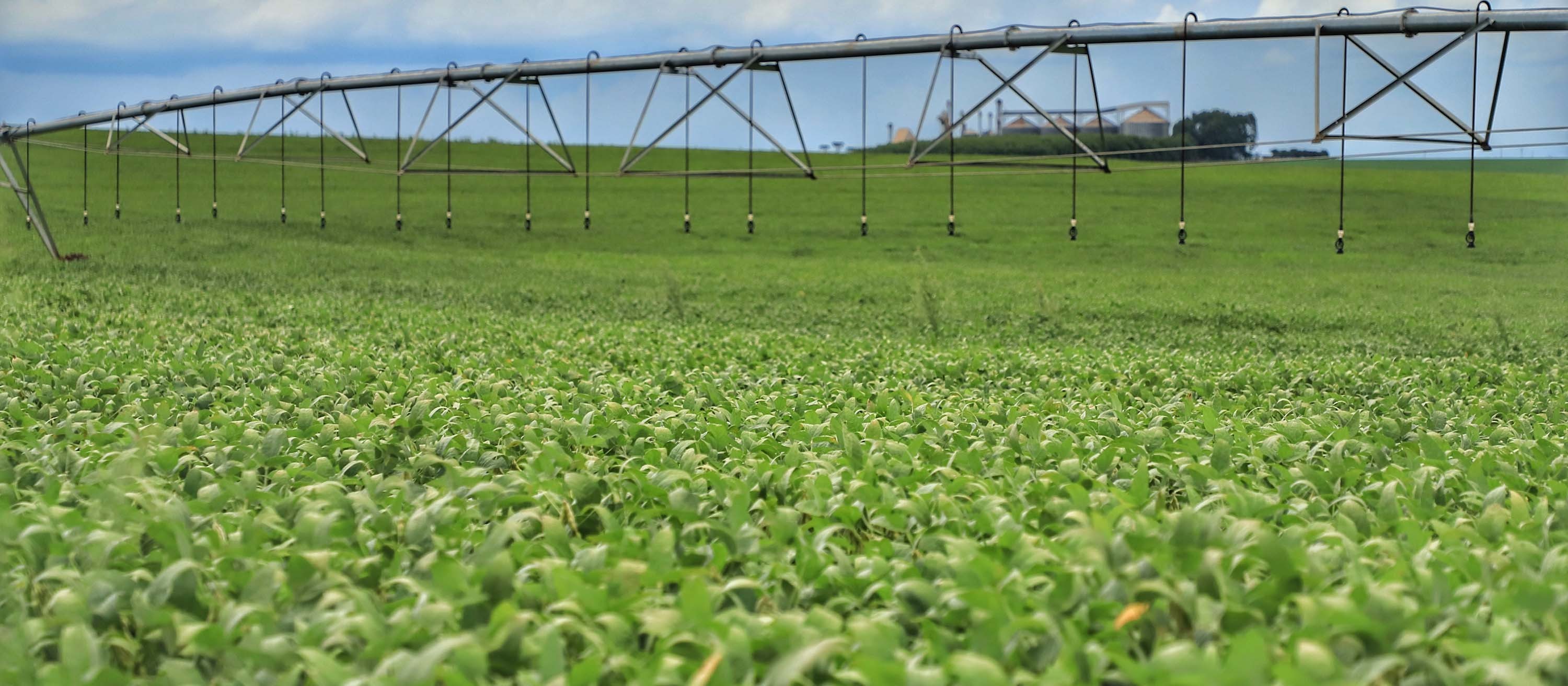 Colheita da safra de soja de 2021 e 2022 atingiu 68% da área plantada no Paraná