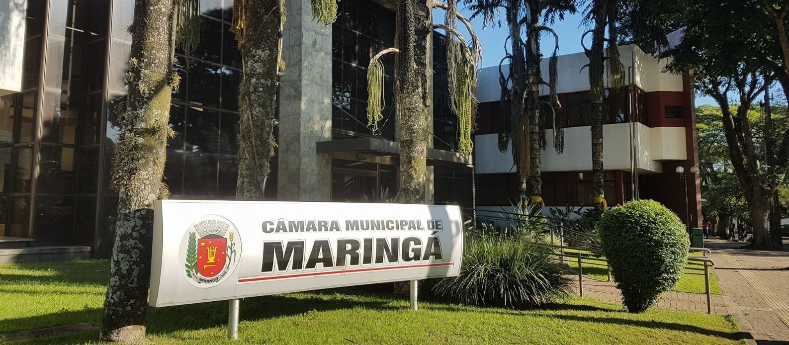 CCJ analisa mais de dez propostas de projetos de lei por semana