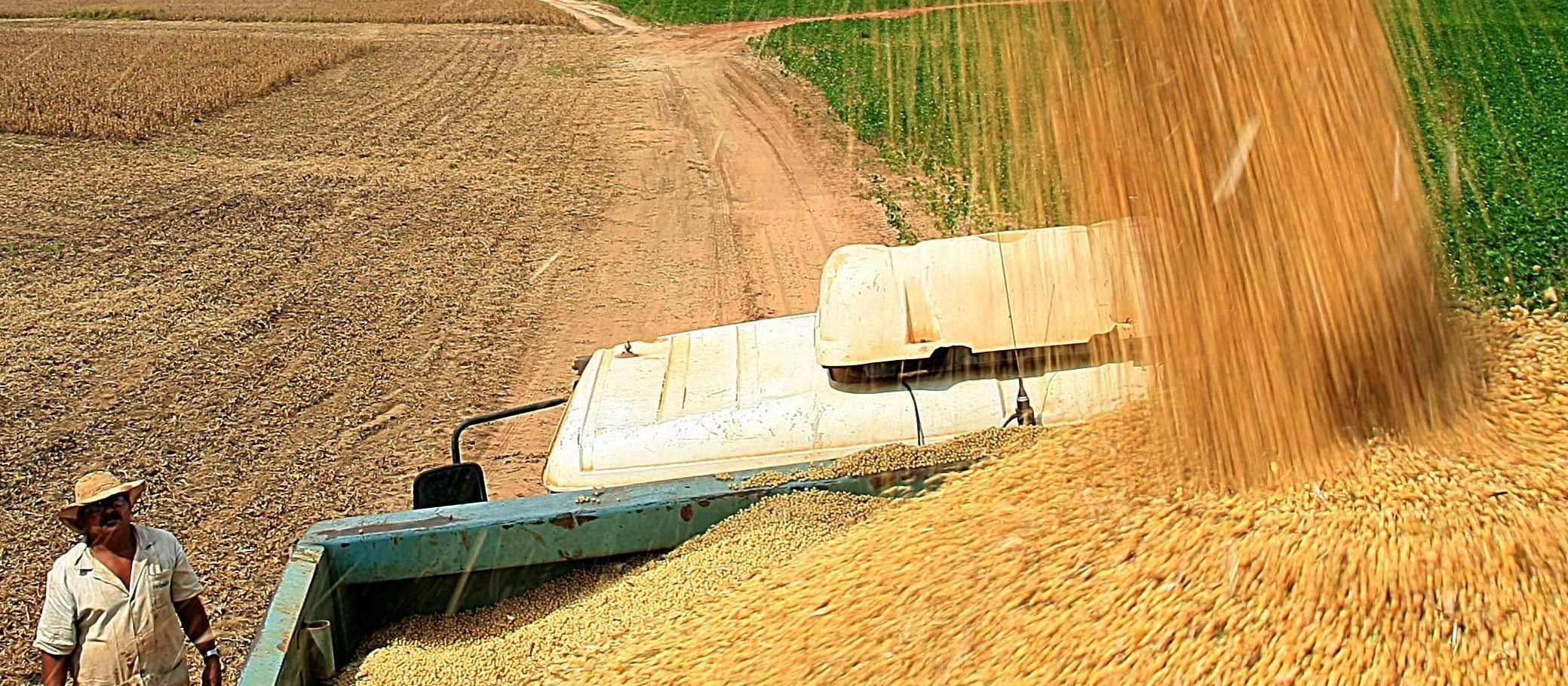 Saca da soja custa R$ 69 em Maringá