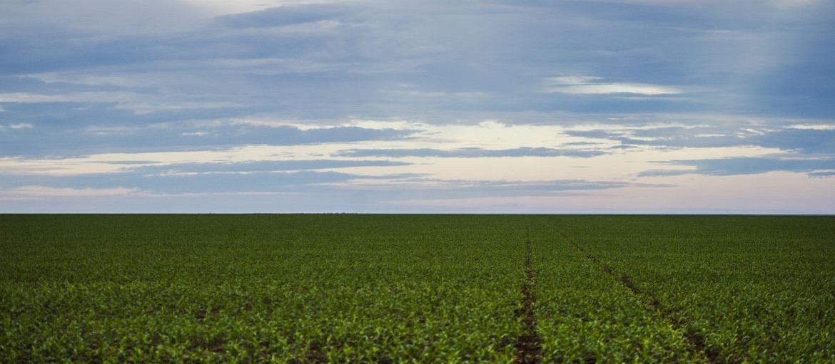 Volumes de fertilizantes importados pelo Brasil em junho quebra recorde 