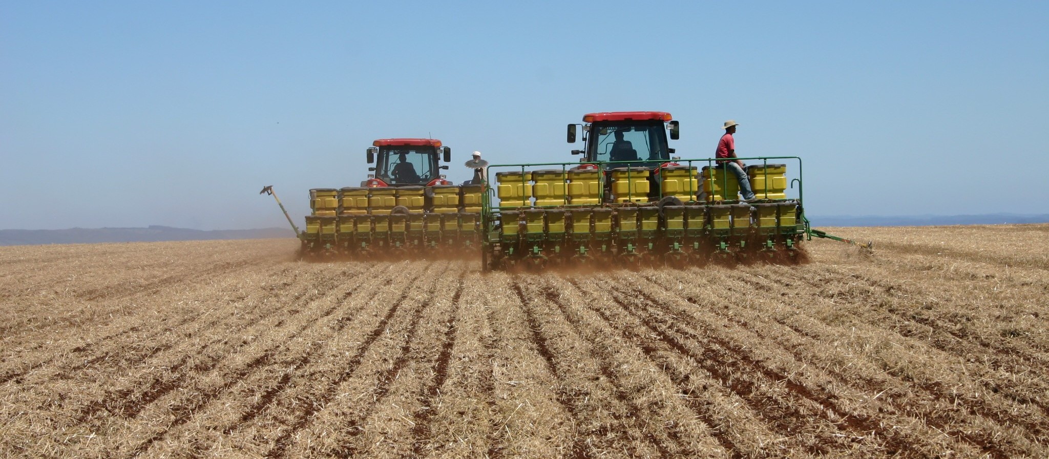 Preços agrícolas variam na região de Maringá