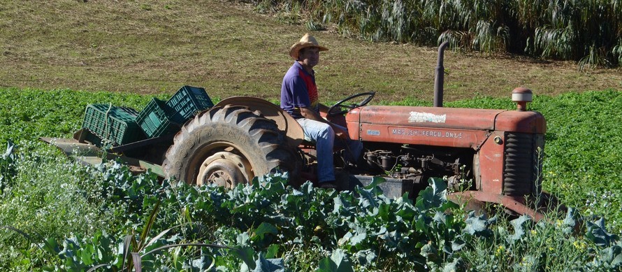 Capacidade de armazenamento valoriza produtos agrícolas