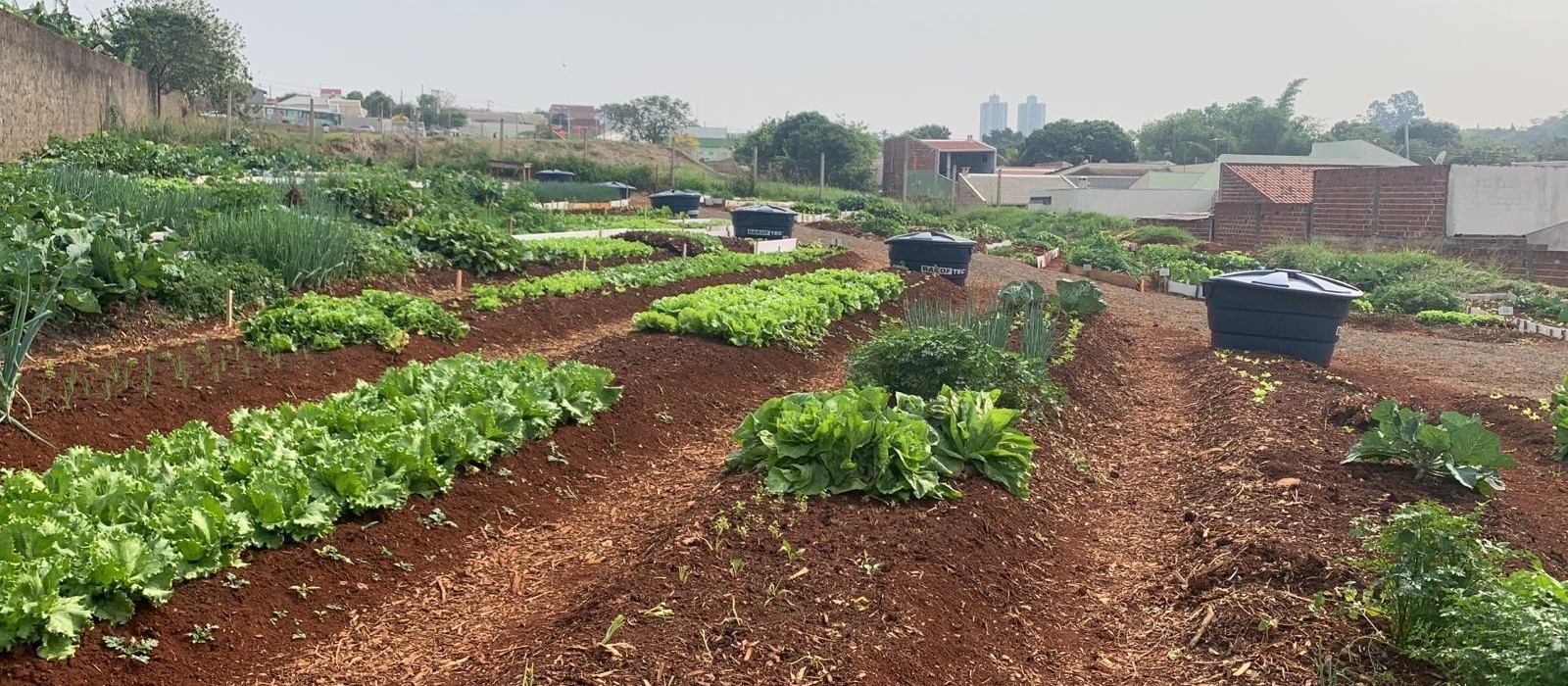 Famílias do Jardim São Clemente ganham horta comunitária e parque