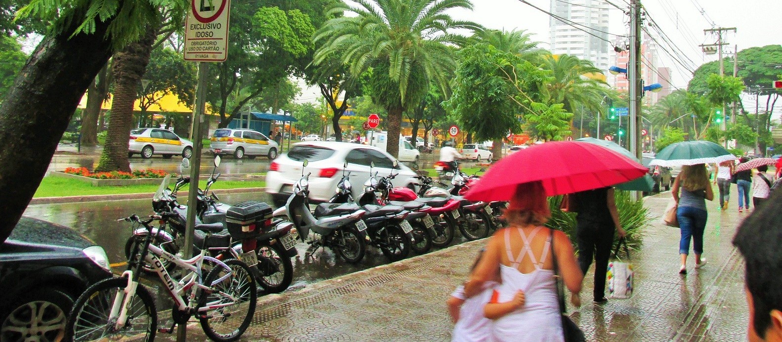 Início de ano será de calor e risco de tempestade, diz Simepar