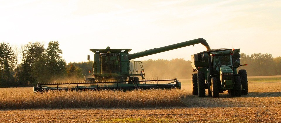 Produtores colhem soja e plantam milho