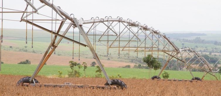 Mercado de fertilizantes apresenta tendência de alta