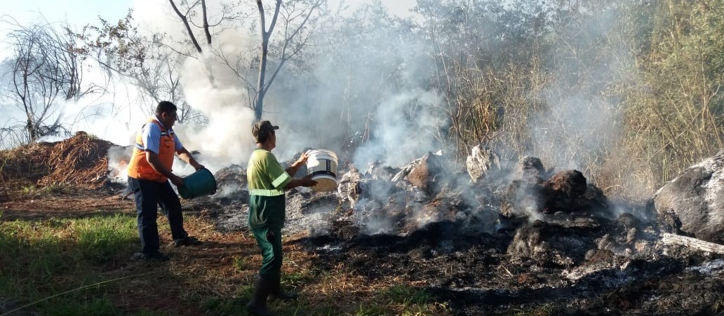 Incêndio em fundo de vale ocupa Corpo de Bombeiros por quatro horas