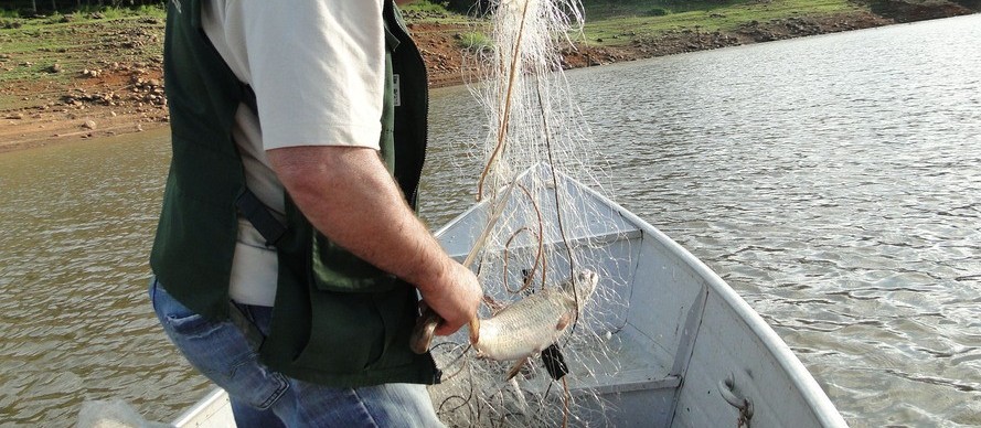 Pescadores estão sem receber o seguro defeso