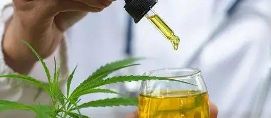 Mandaguari é premiada por distribuição de remédio à base de cannabis