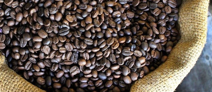 Café em coco custa R$ 6,90 kg em Maringá