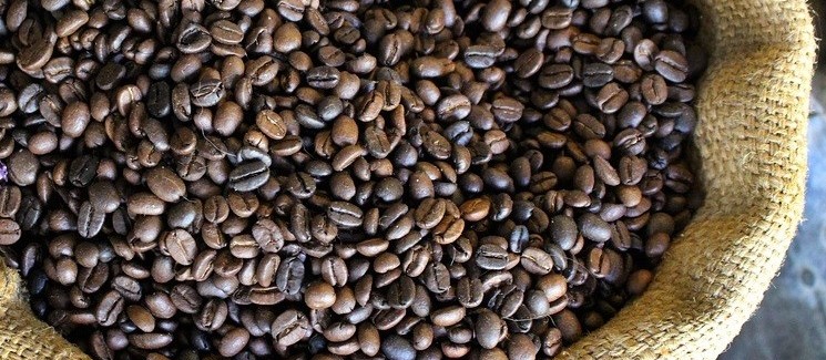 Café em coco custa R$ 6,70 kg em Maringá