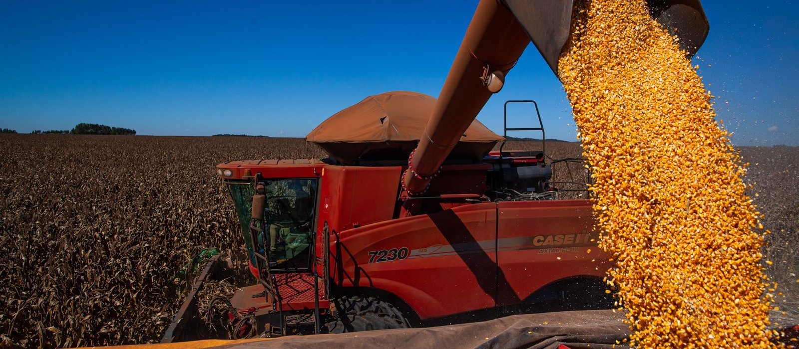 2021 foi de conquistas para o agronegócio