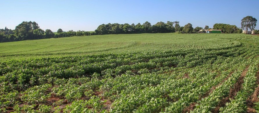 CMN define regras para contratação de seguro rural