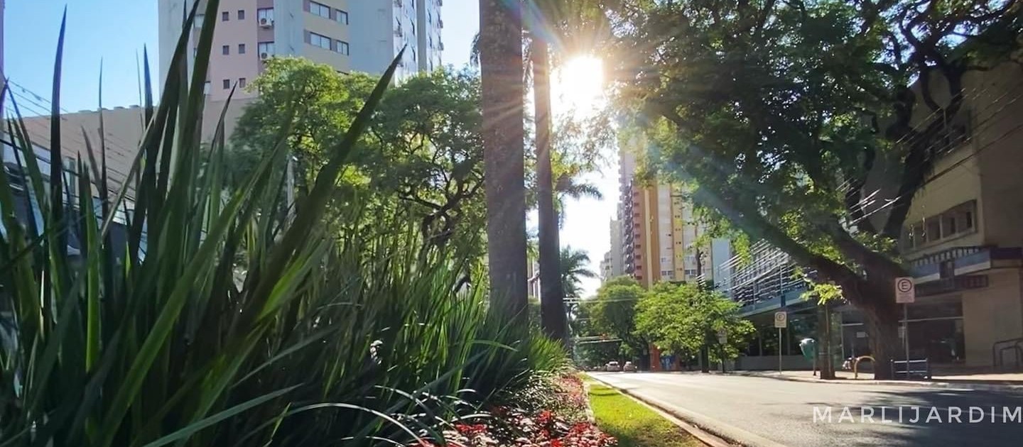 Maringá tem novo recorde de temperatura e registra dia mais frio do ano