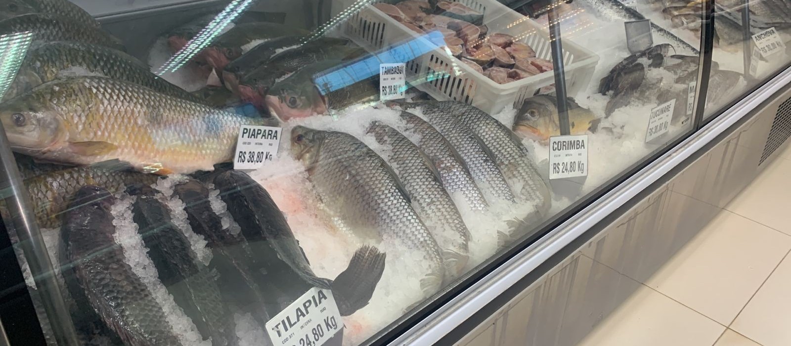 Venda de peixes pode subir até 40% por causa da quaresma