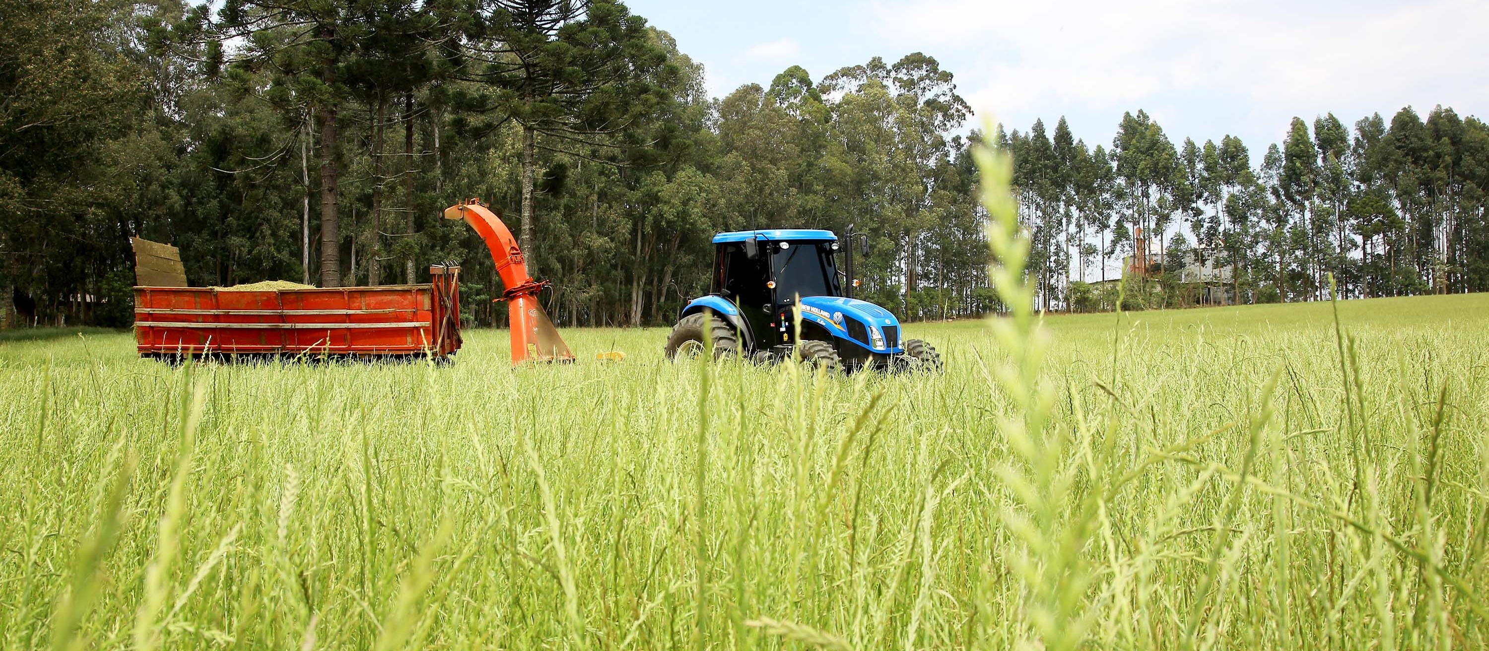 Produtores rurais contrataram R$ 156,6 bi em crédito de julho de 2019 a abril deste ano