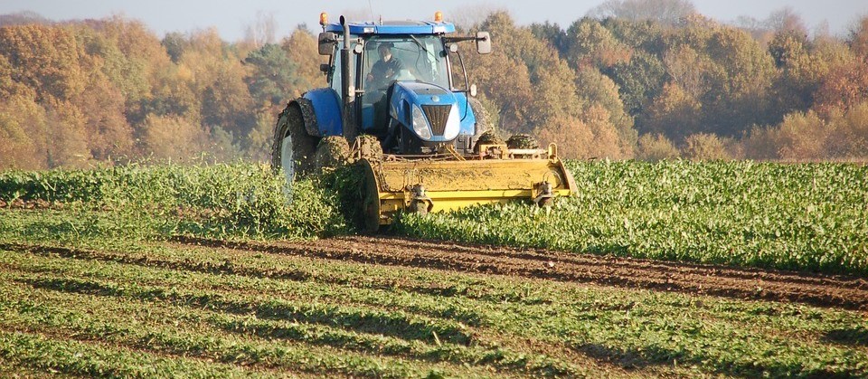 7 em cada 10 pessoas veem o agronegócio de modo positiva