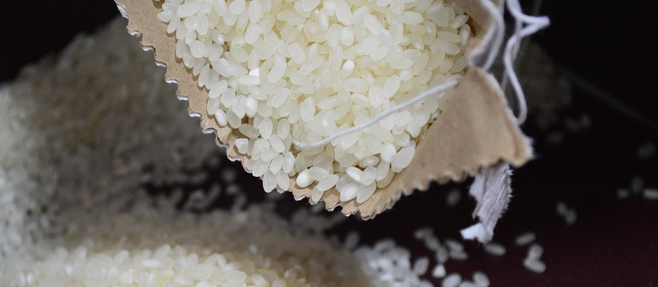 Preço baixo do arroz não cobre custos da produção