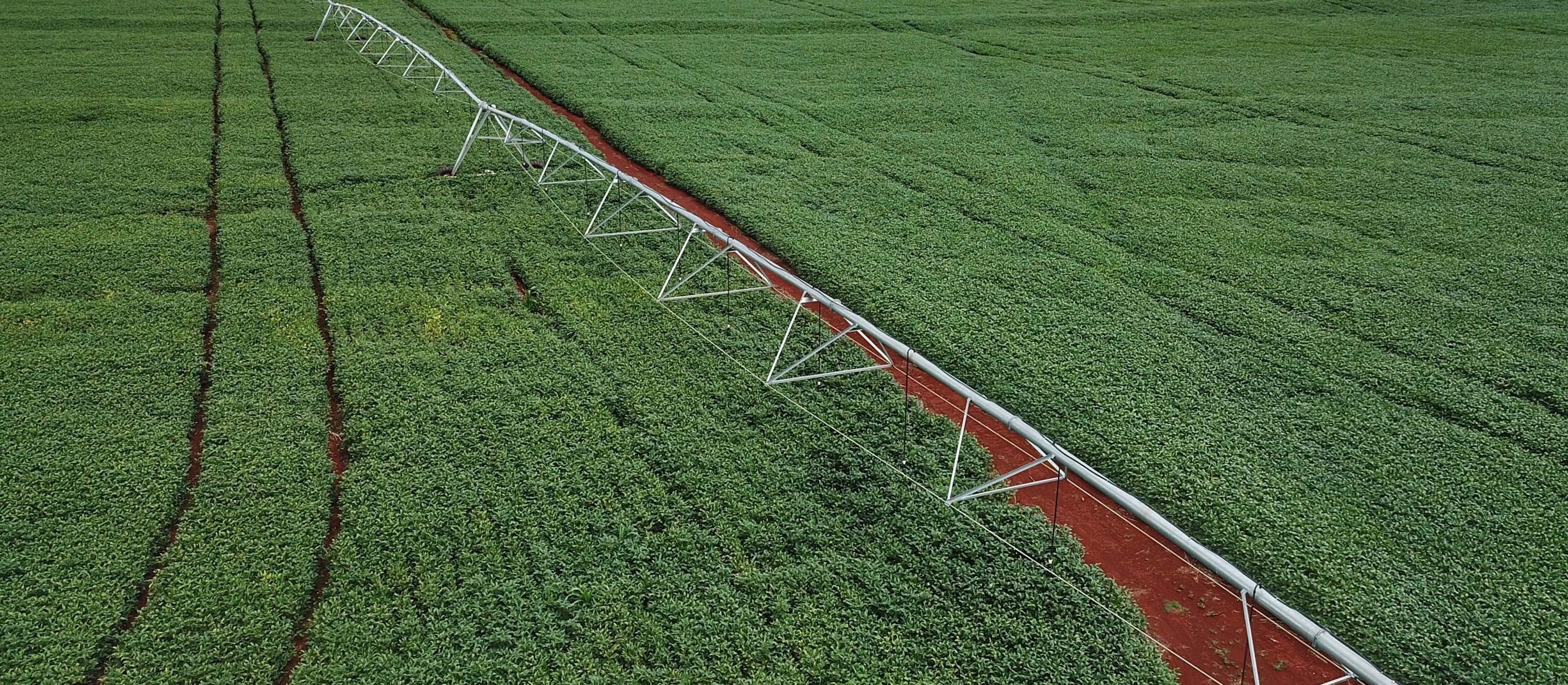 Sistema Campo Limpo cresce cada vez mais 