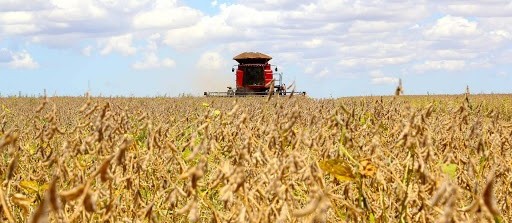 VBP soma R$ 697 bilhões e atinge recorde em 31 anos