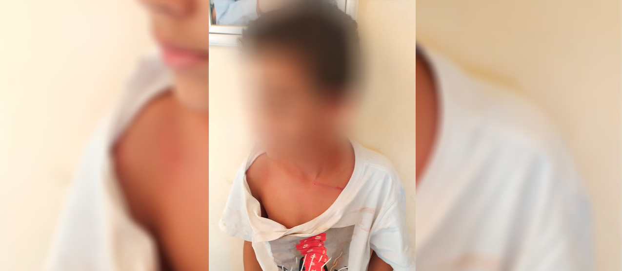 Palmeirense que agrediu criança de 11 anos após brincadeira divulga pedido de desculpas