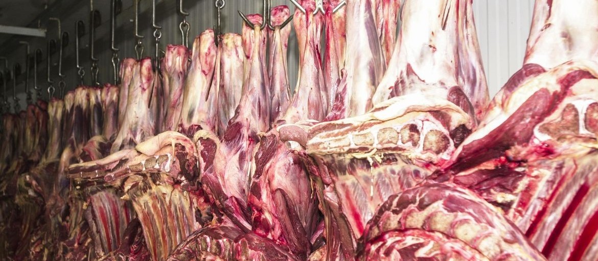 Exportação de carne bovina brasileira cresce em 2022