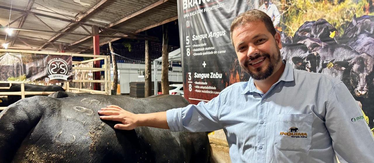 Raça Brangus: um  animal bastante adaptado ao clima tropical