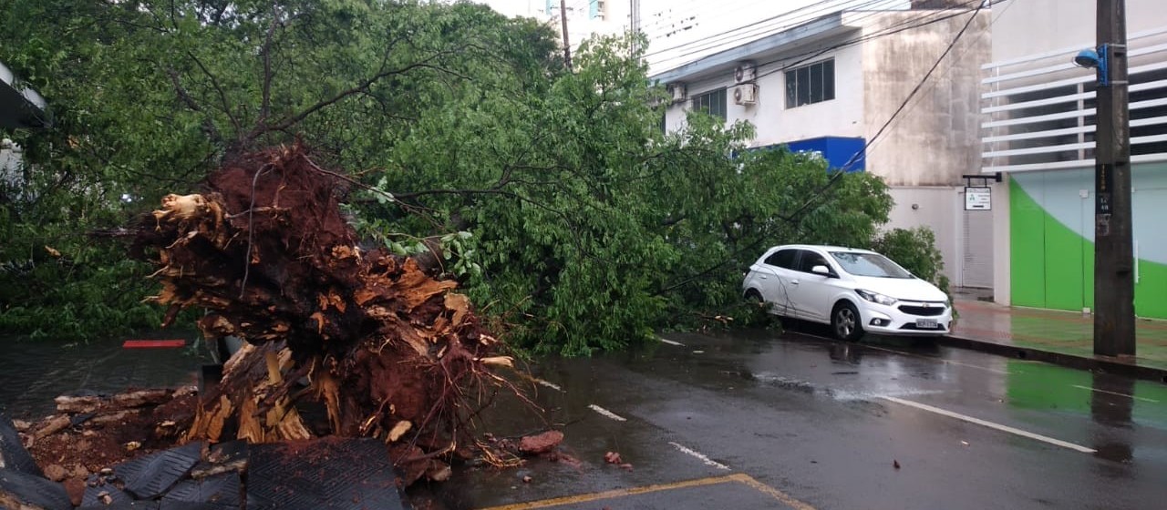 Temporal rápido e forte atinge Maringá e deixa estragos