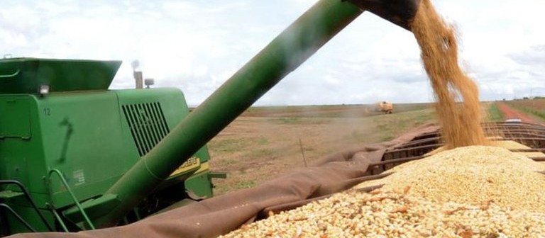 Vacinação trouxe boas perspectivas para o agronegócio