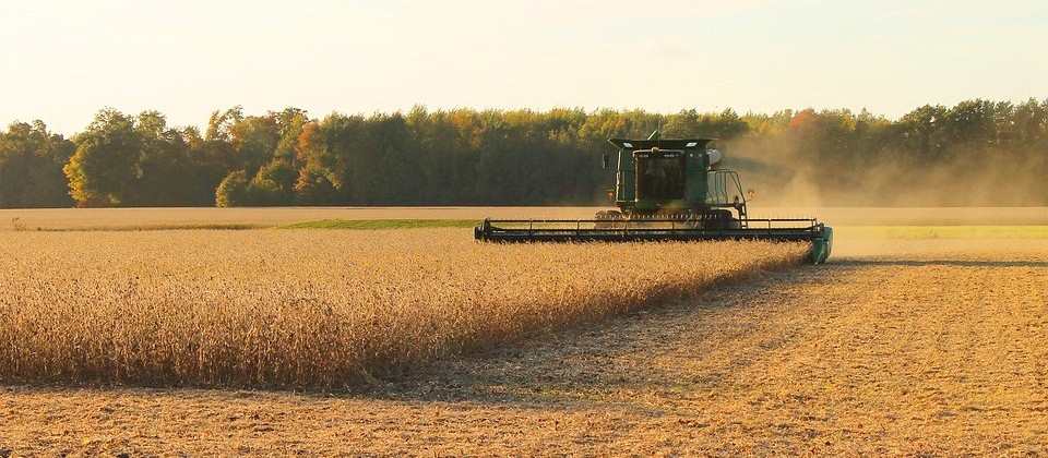 Soja preocupa produtores no sul do país