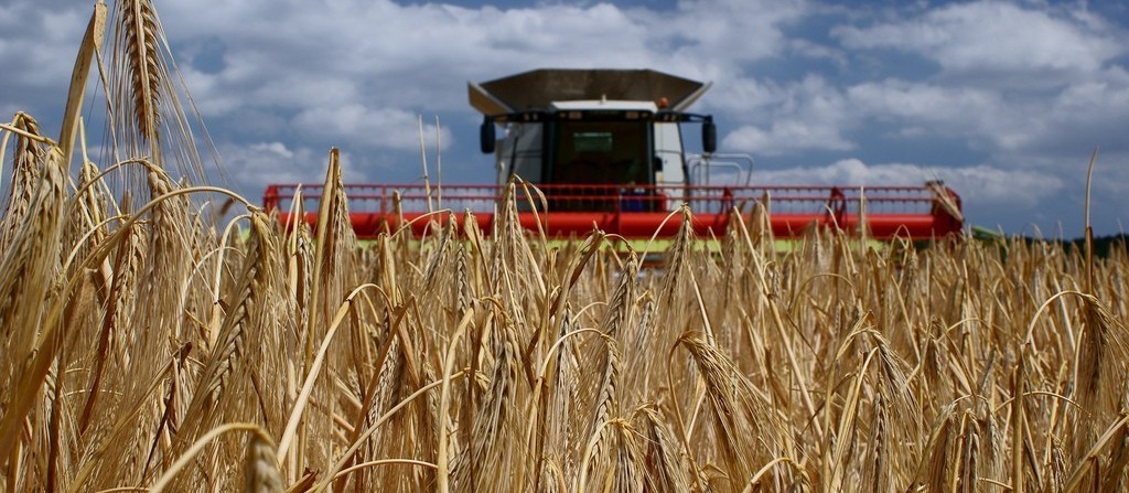 VBP da agropecuária é estimado em R$ 617 bilhões, com base em dados de novembro