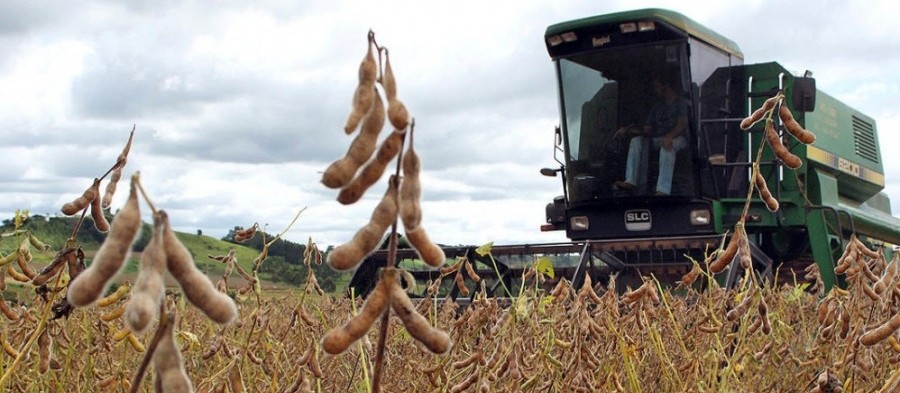 Saca da soja custa R$ 67 em Maringá