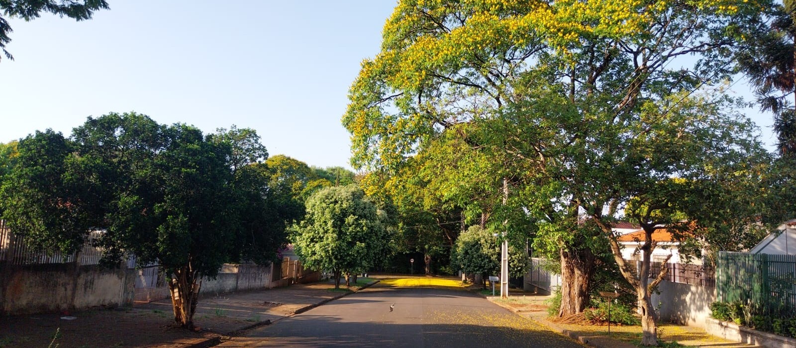 Temperatura pode chegar a 33ºC neste domingo (29) em Maringá  