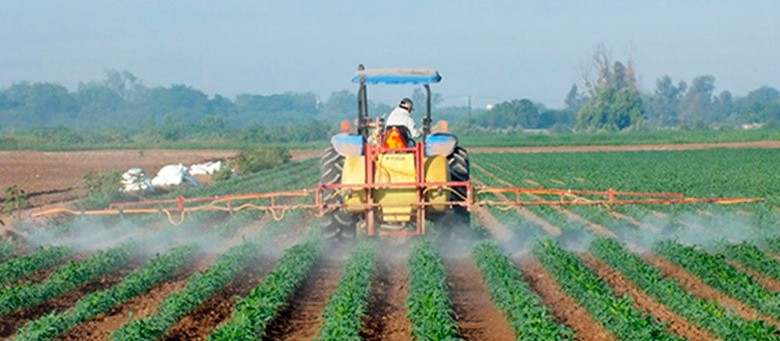 Preços agrícolas seguem em alta no Paraná